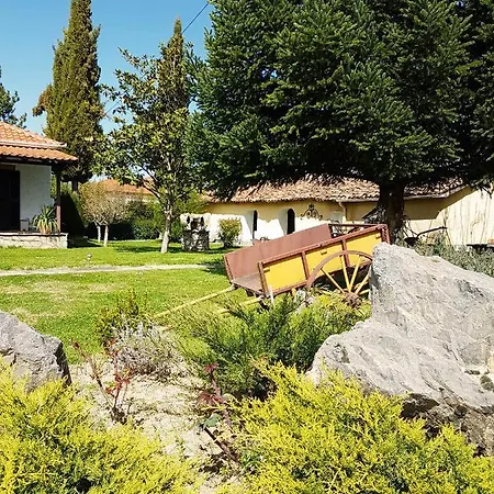 Rinas Valley View Pteria