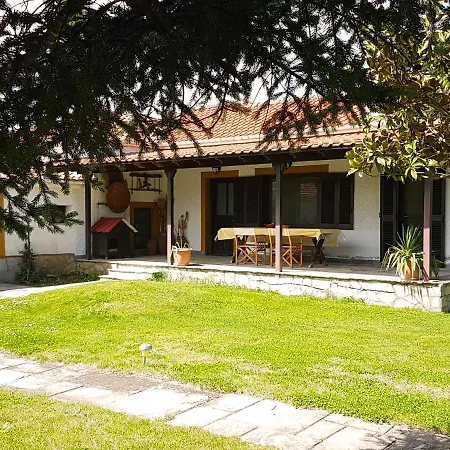 Rinas Valley View Pteria