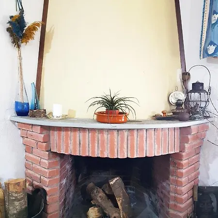 Lodge Yiayia's Rina's Lovely Pteria