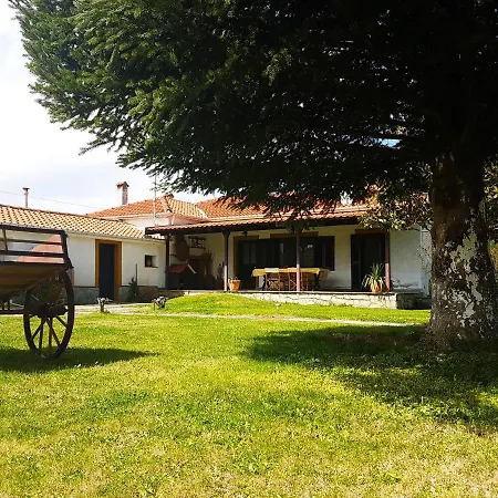 Rinas Valley View Orman Evi Pteria