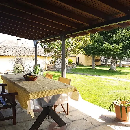 Rinas Valley View Pteria