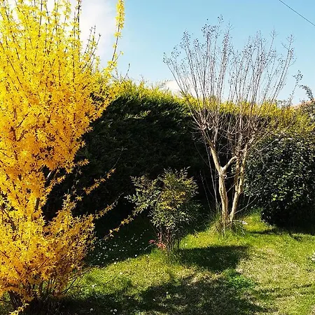Chata Rinas Valley View *