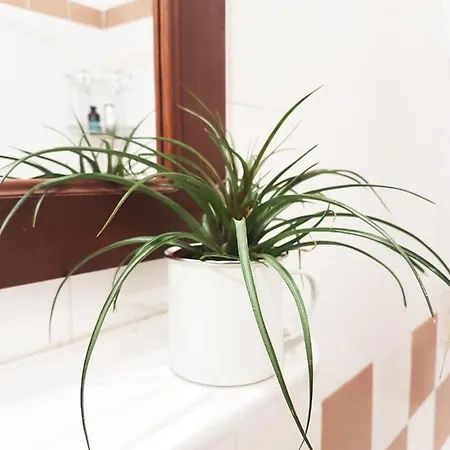 Lodge Rinas Valley View Pteria