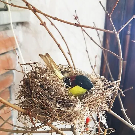 Lodge Rinas Valley View *