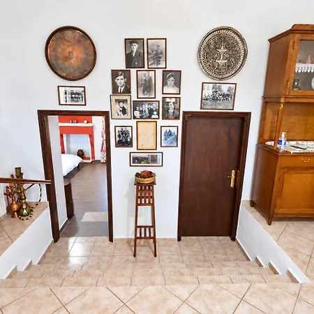 Rinas Valley View Orman Evi