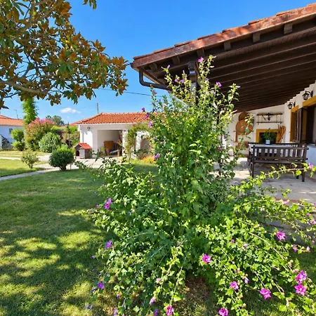 Rinas Valley View Orman Evi Pteria