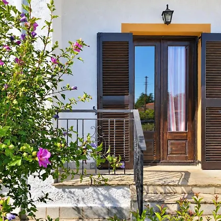 Orman Evi Rinas Valley View Pteria