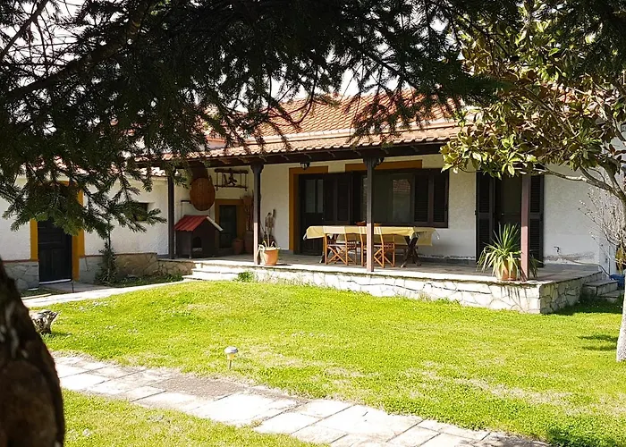 Rinas Valley View Pteria